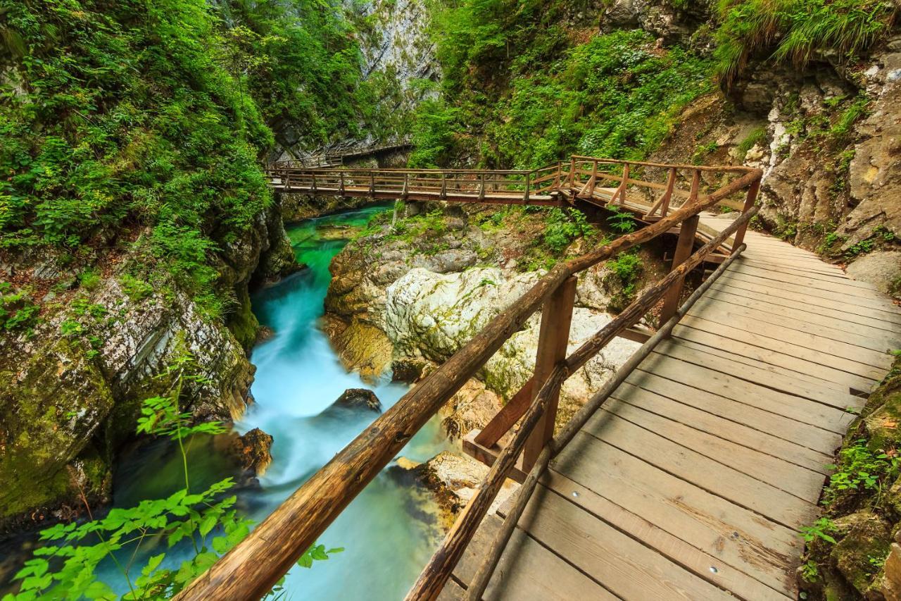 Lake Bled Holiday Home المظهر الخارجي الصورة