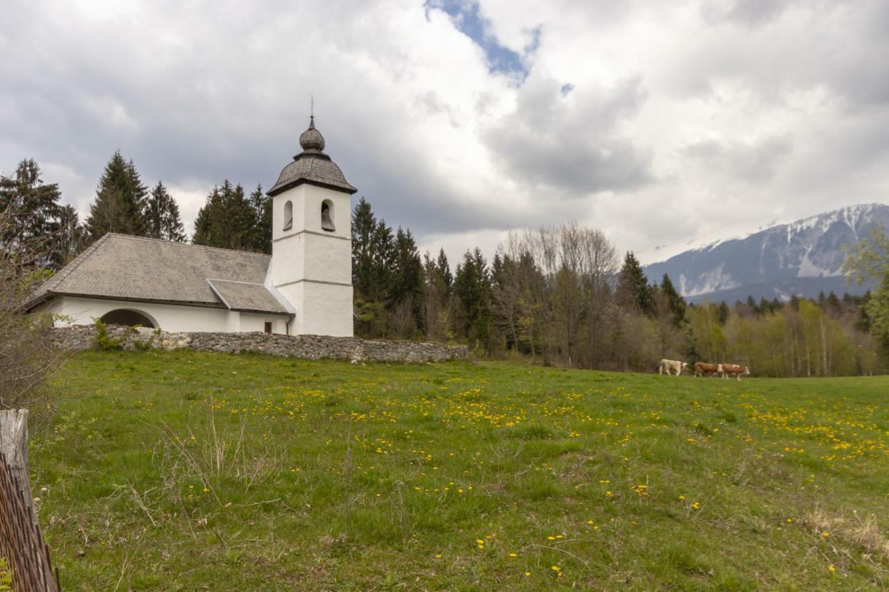 Lake Bled Holiday Home المظهر الخارجي الصورة